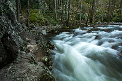Appalachian Trail - Laurel Falls - TN
