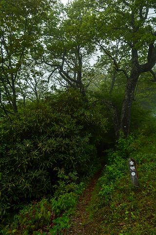 Mountains to Sea Trail