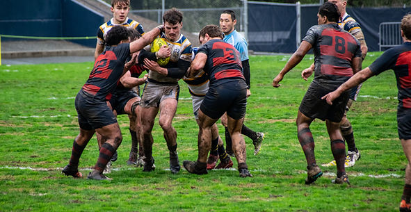 DSC_2205.jpg