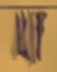 Rewind.png