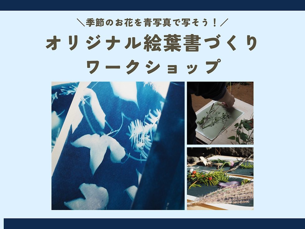 季節のお花を青写真で写そう!オリジナル絵葉書づくりワークショップを開催します