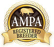 AMPA.jpg