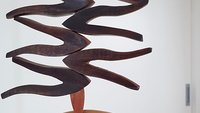 PICES | 2020 Video Montage