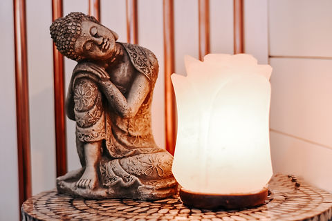 ZEN-V.jpg