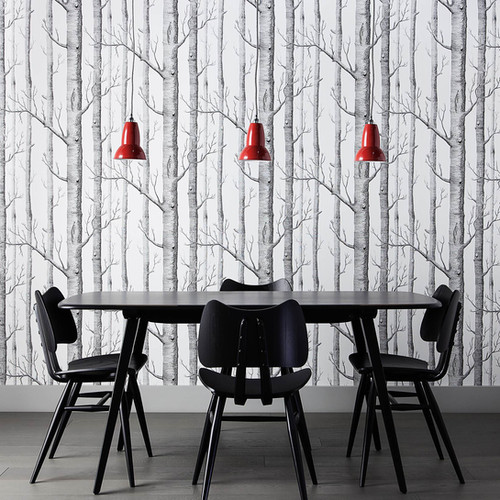 ANGLEPOISE | DUO PENDANT | Lynnbelys