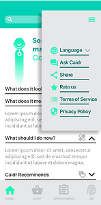 caidr screen 5_4x.png