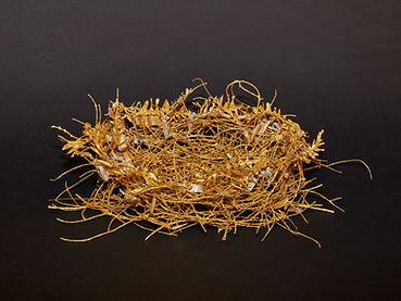 Artwork by Clare Ross