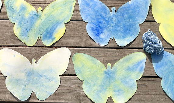 butterfies.jpeg