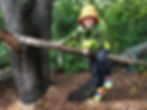 Waldorf Education