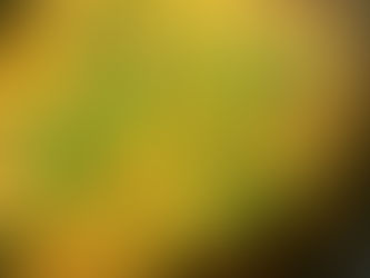 Chicken Keema By Shai Ayoub