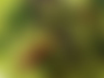 Pudina Chutney / Mint Chutney By Thanaletchimy Appodurai