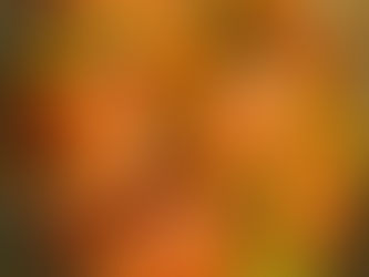 King Prawn Bhuna By Shai Ayoub