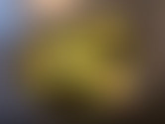 Courgette in Garlic And Chilli By Shai Ayoub