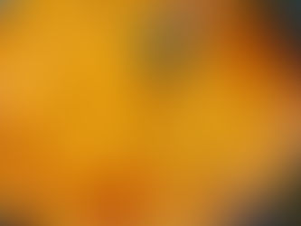 Chicken Handi With Potato By Shai Ayoub