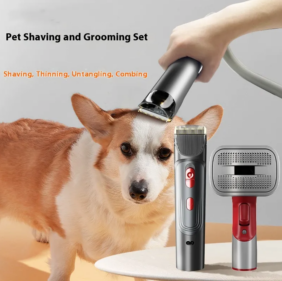 Miniature : Pet Shaver & Comb Kit with Hair Suction for Dogs & Cats