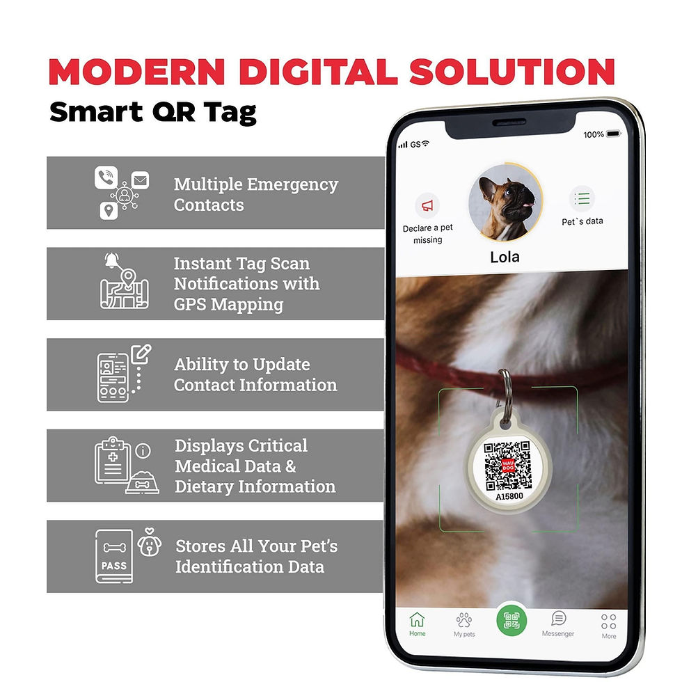 Miniatura: Blue Cotton Dog Harness Eco Friendly Adjustable for Medium Dogs M Size 2332 in