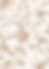 Menu Verso (4).png