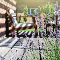 The Garden