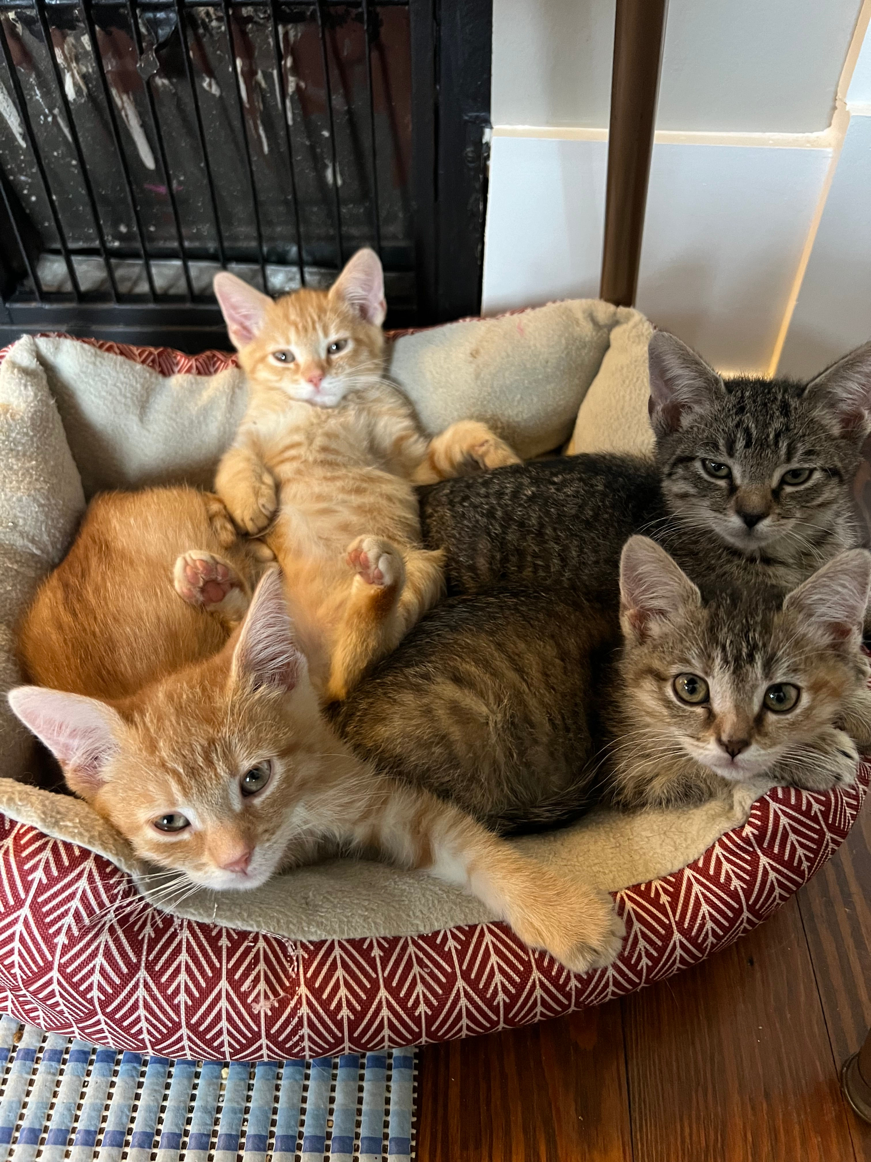 Vilnius, Brussels, Minsk, Vienna