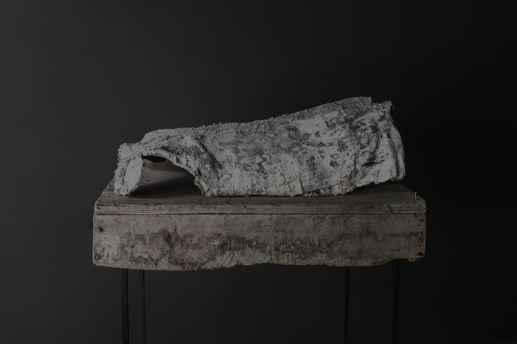 elegīa I
(Wood, plaster, animal skin, hair, ashes, dust, acrylic's, wax)