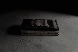 Réquiem 01  (Wood, wire, nails, metal, wax, resin and glass, 107h x 58w x 30d cm)