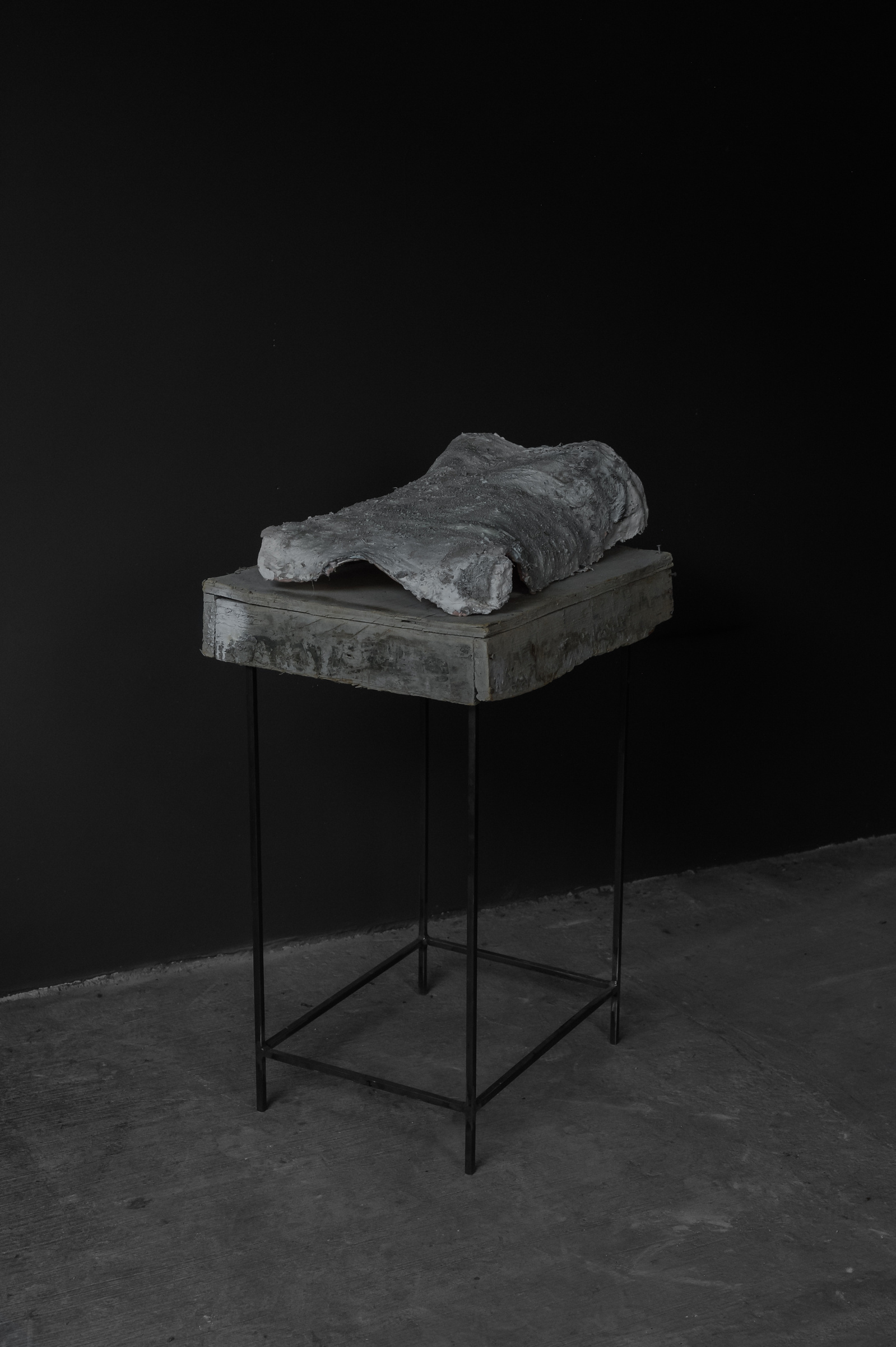 elegīa I
(Wood, plaster, animal skin, hair, ashes, dust, acrylic's, wax)