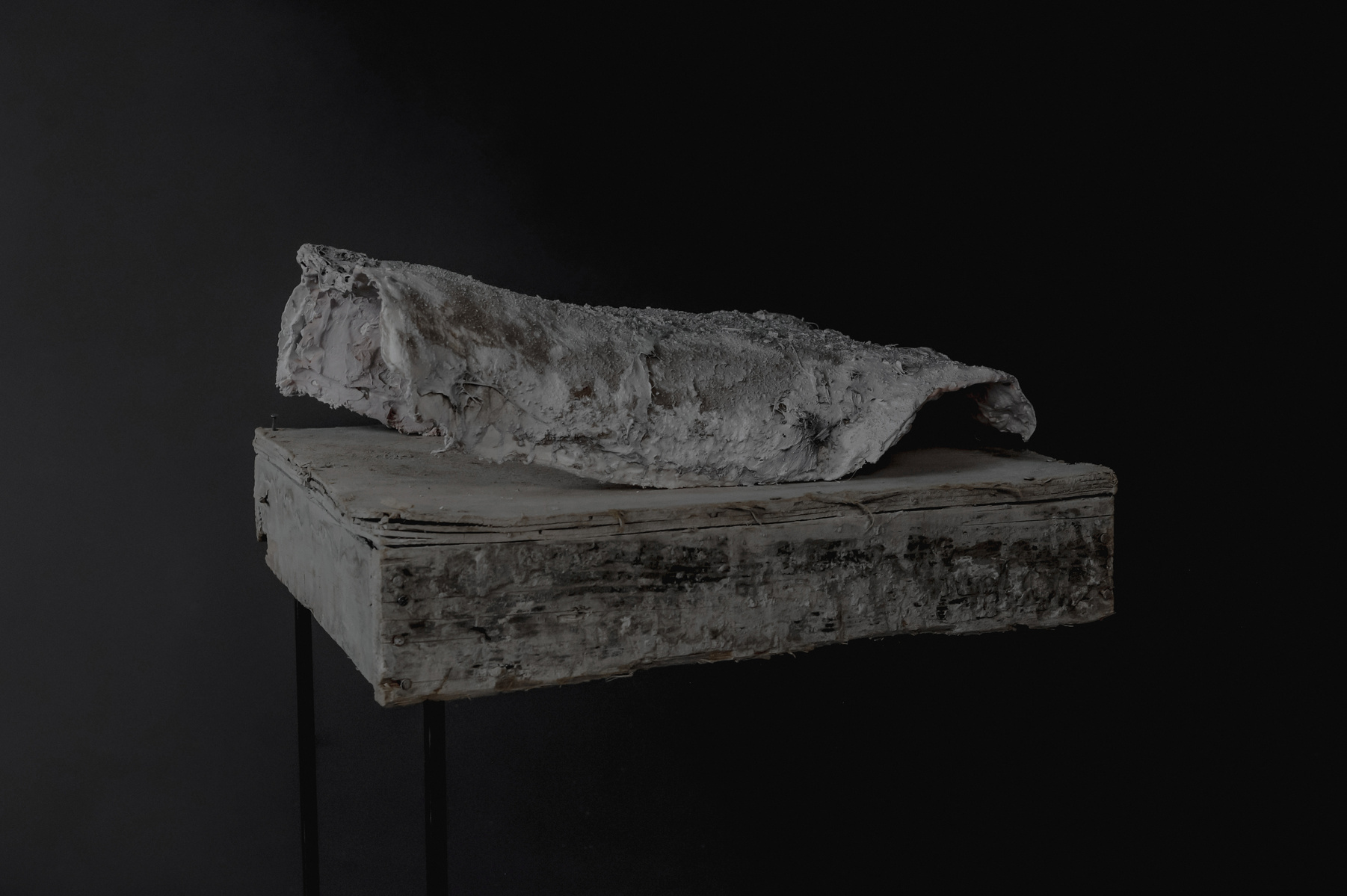 elegīa I
(Wood, plaster, animal skin, hair, ashes, dust, acrylic's, wax)