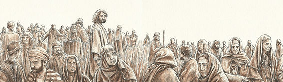 Spread 4.jpg