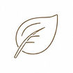 icon - leaf_edited.jpg