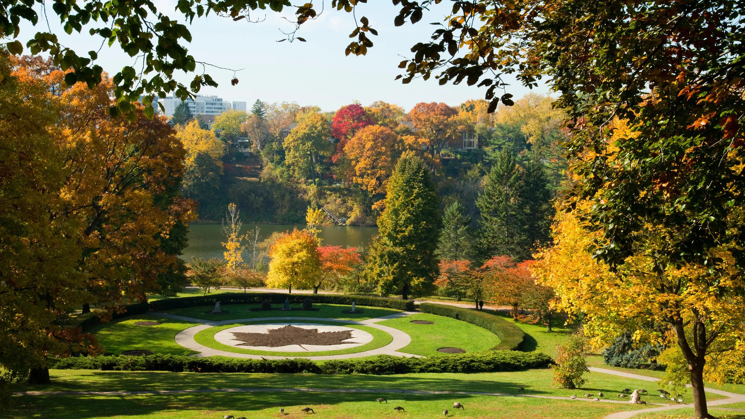 High Park