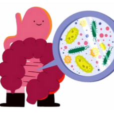 Looking For a New Treatment for Depression? The Gut Microbiome Might be the Answer