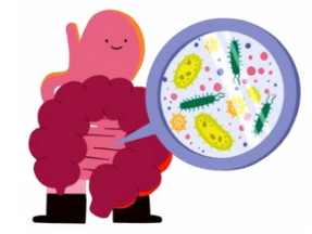 Looking For a New Treatment for Depression? The Gut Microbiome Might be the Answer