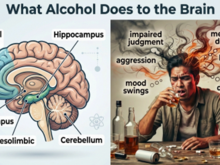 What Alcohol Does to the Brain