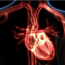 Dilated Cardiomyopathy Explained: Causes, Symptoms and Treatment