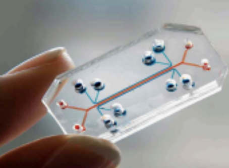 How can microfluidic organ-on-a-chip models be used to simulate hormonal interactions of the female reproductive system to improve medicine for hormonal imbalances and ovarian cancer?