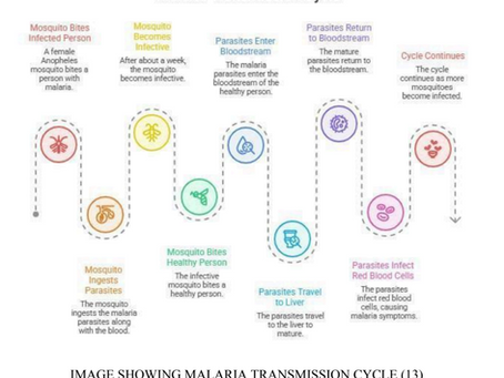 Malaria Explained: Patient Guide to Understanding Malaria