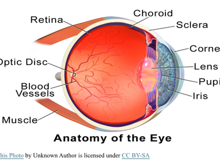 Macular Degeneration