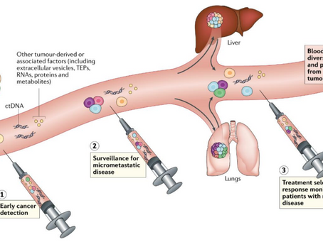 A Simple Blood Test Could Transform Breast Cancer Treatment Decisions