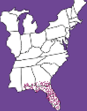 A map of the eastern United States indicating a disease outbreak in Florida