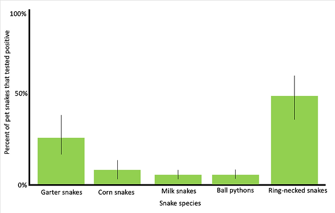 A bar graph showing that several species of pet snakes tested positive for the fungus