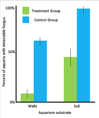 A bar graph showing the percent of aquaria with detectable fungus on the walls or in the soil. On both substrates, fewer of the fungicide-treated aquaria had detectable fungus than the control aquaria