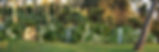 Japonês jardim