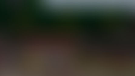 Imola will Open 2026 WEC Season, Qatar 1812km postponed