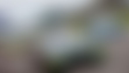 British GT Media Day