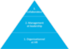 Pyramide leviers actions.png