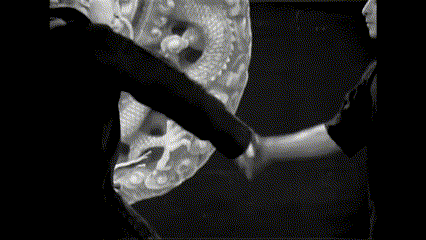 weijia_selfdefense.gif