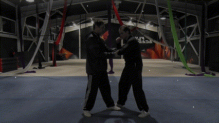 aplicacionFa.gif
