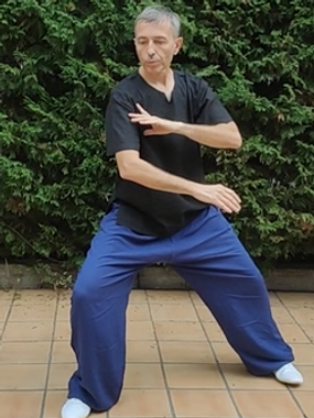 hombro2.PNG