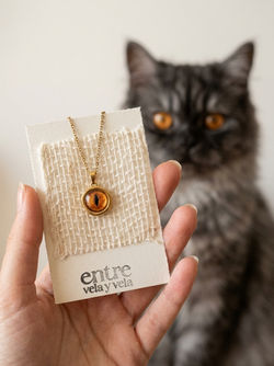 Joyas fotografía ojo mascota