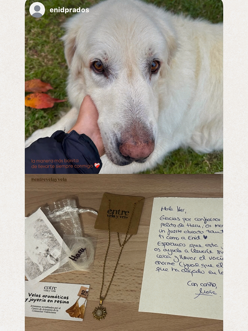 Miniatura: Colgante 'Sol' personalizado con pelo de tu perro o gato